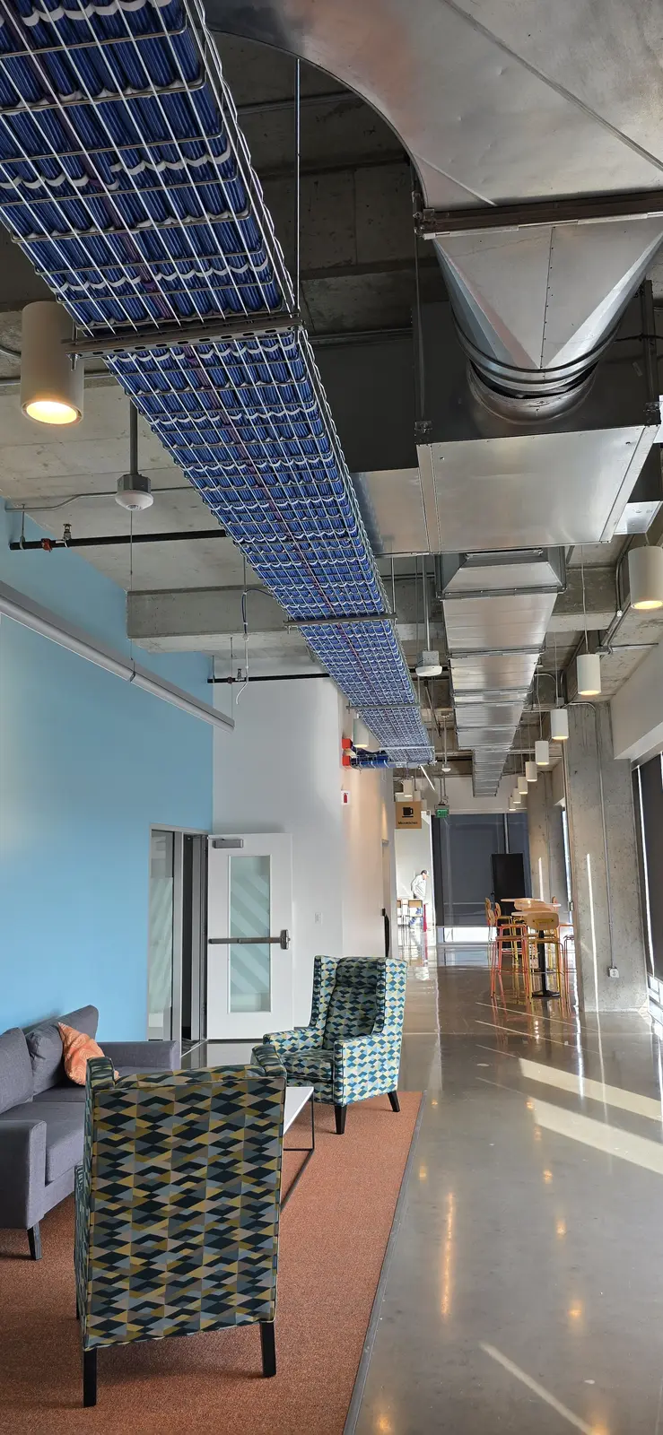 Overhead cable tray with dressed network cabling in a commercial corridor